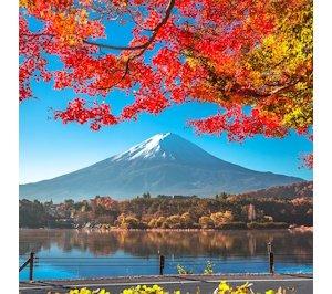 SANS Tokyo Autumn 2025