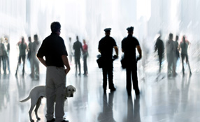 FST Biometrics Combines Security With Convenience