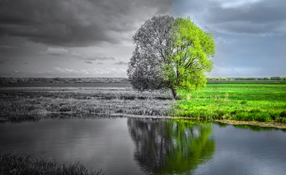 How Anixter’s Acquisition of Tri-Ed Could Impact Transition to IP