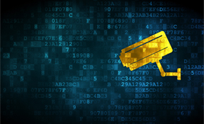 Importance Of video Network Administrator In Expansion And Integration Of Surveillance Technologies