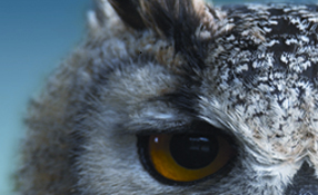 New Generation SourceSecurity.com Consolidates Leadership Position Among Security Industry Trade Media