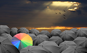 Hardware Vs. Software-based Surveillance Recorders: Which Is Best For You?