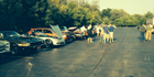 TRI-ED Buffalo Hosts First Annual Classic Car & Motorcycle Show