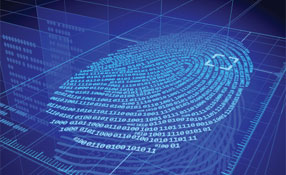 How Biometric Cards Improve Security And Extend The Life Of Proximity Systems