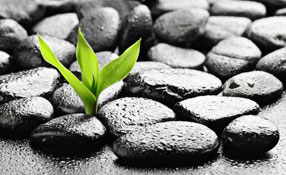 Growing access control adoption for residential and commercial security: key drivers