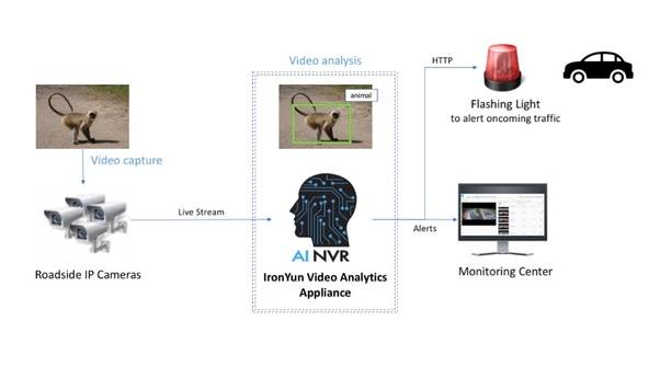 IronYun AI NVR Animal Detection System Helps Secure Animals Crossing The Roads In Singapore’s National Parks