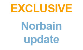 Norbain: Piecing Together The Sale