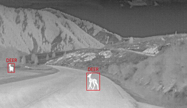 Thermal Imaging For Large Animal Detection To Help Reduce Wildlife Vehicle Collisions