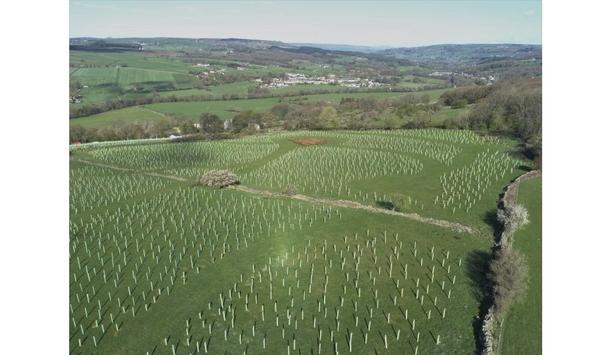Dardan Security Partners With Make It Wild To Annually Offset 480 Tonnes Of CO2e By Planting Trees In Summerbridge