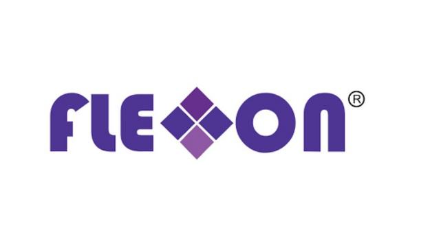 Flexxon's CEO Camellia Chan Comments On The Energy One Cyberattack