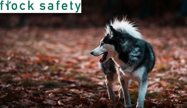 Stolen Dog Returned Thanks To Flock Safety License Plate Reading Camera System