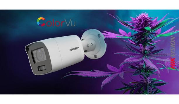 Enhance Safety And Profitability At Cannabis Operations With Hikvision’s Cutting-Edge Security Solutions