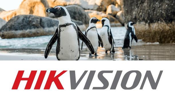 Hikvision Deploys Cameras As Part Of Partnership With DICT To Protect African Penguins