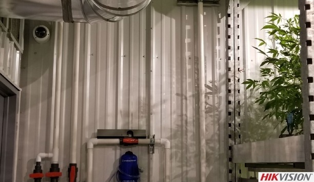 Hikvision Surveillance System Secures Marijuana Cultivation Facility In Boulder
