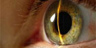 Accenture Introduced Large Scale Biometric Identity Matching Solution At Biometrics 2010