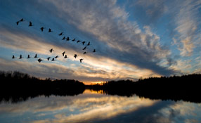 Design Tips To Migrate From Analog To High Definition Surveillance