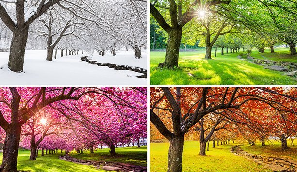 Is There A Seasonal Impact On Security System Sales?