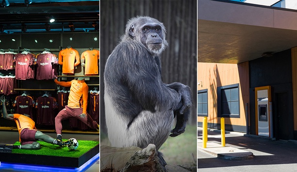 What Are Some Unusual Applications Of Surveillance Cameras You Have Seen Recently?