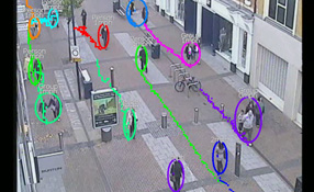 Video Analytics Systems In Real-world Environments