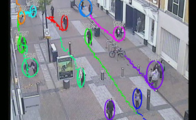 Video Analytics Systems In Real-world Environments