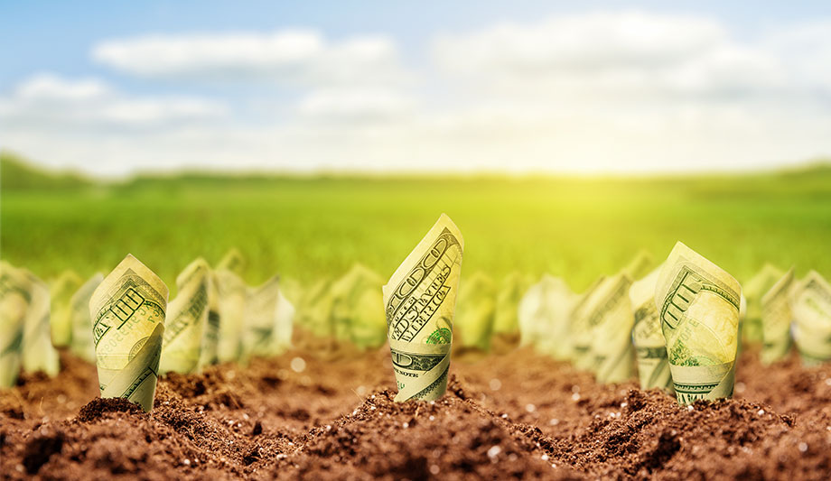 Security Projects Capital Spending Grew In 2015 Amidst Larger Adoption Of Thermal Cameras And Analytics