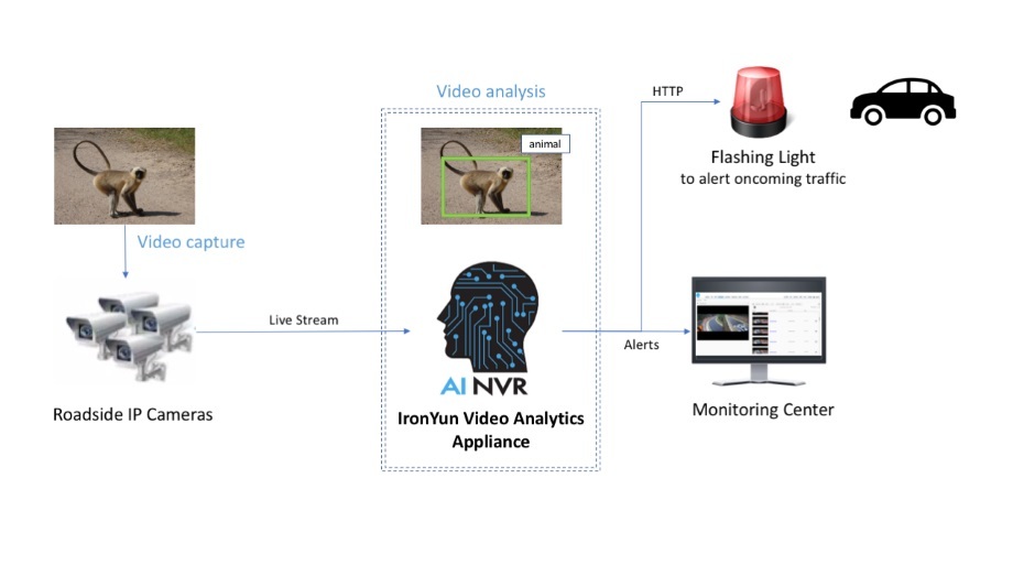 IronYun AI NVR Animal Detection System Helps Secure Animals Crossing The Roads In Singapore’s National Parks