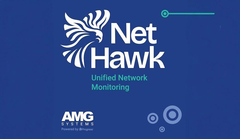 AMG Net-Hawk: Premier IP Network Monitoring System