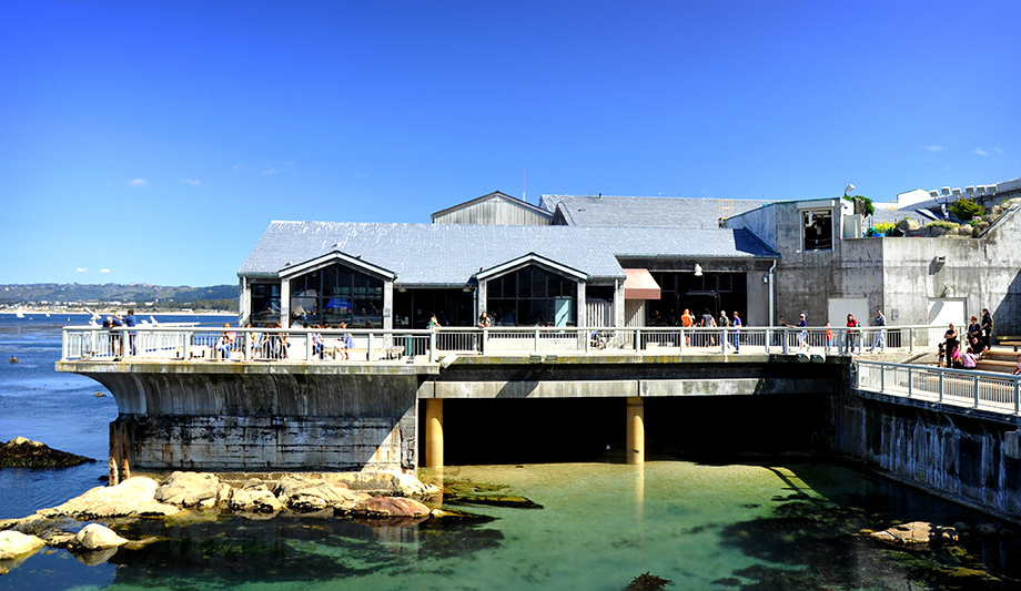 AV Costar Video Surveillance Deployed By Monterey Bay Aquarium, California