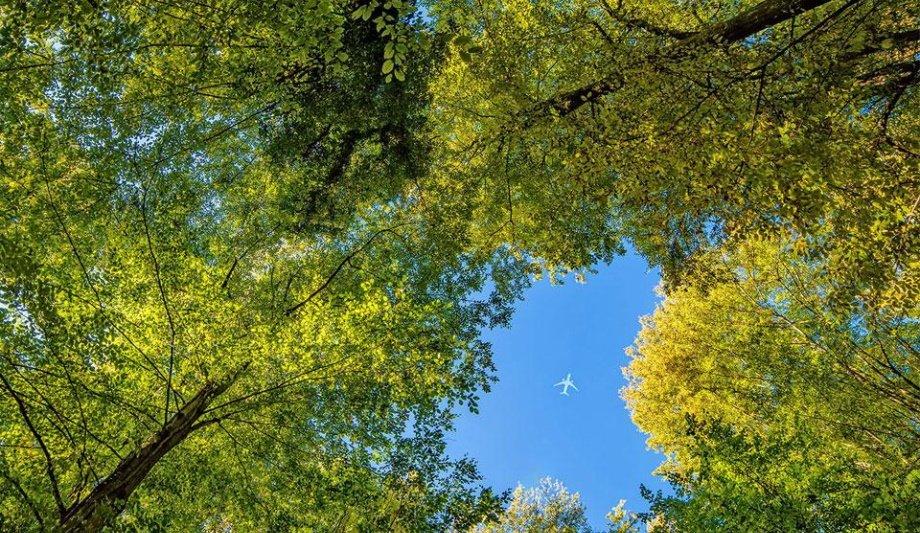 Avolon Placed In The Top 5% Of The Industry Group With Inaugural Sustainalytics ESG Rating