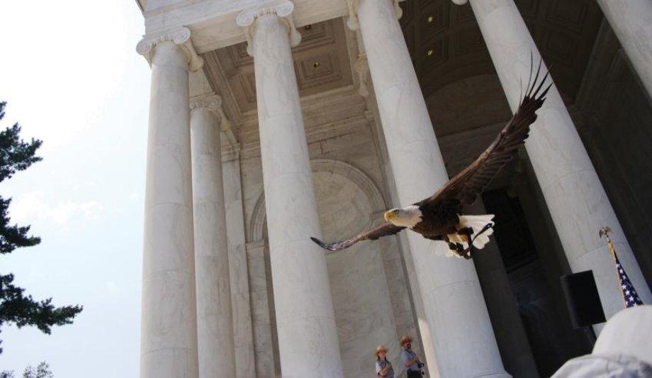 Axis Communications Insight On How Surveillance Cameras Can Help Save Birds