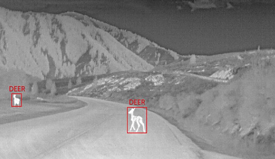Thermal Imaging For Large Animal Detection To Help Reduce Wildlife Vehicle Collisions