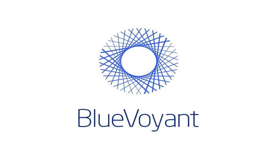 BlueVoyant Appoints Debora Plunkett And Ariel Litvin To The Post Of Board Of Directors