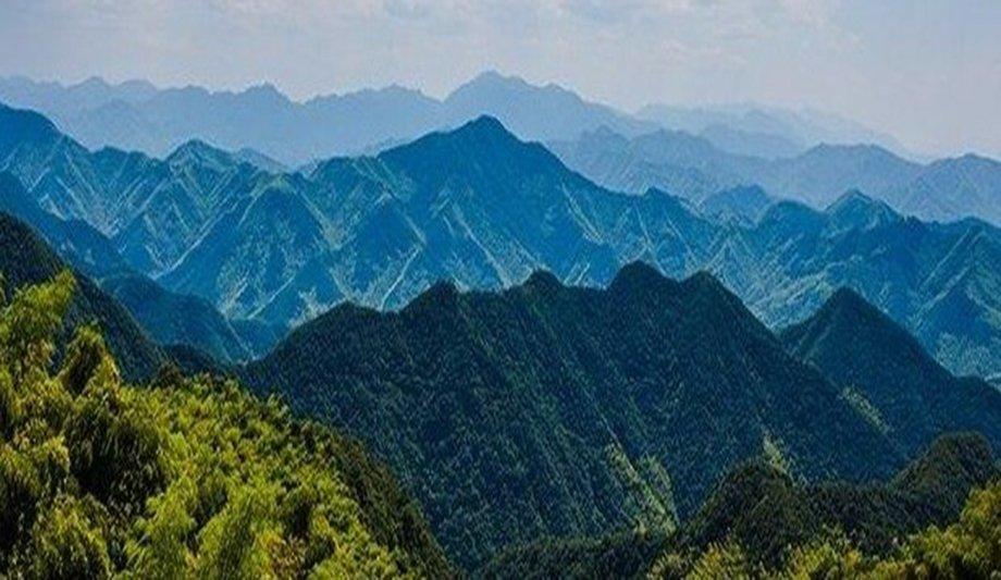 Preventing Forest Fires With Dahua's Digital Intelligence