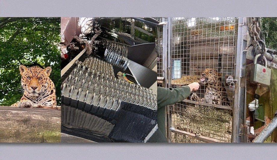 Secure patented key control at Dartmoor Zoo