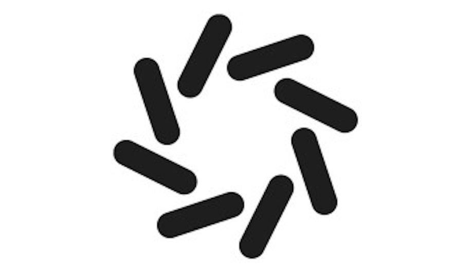 Domino Data Lab Spring 2025 AI Platform Release