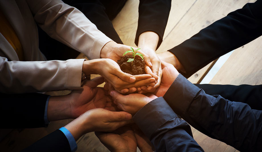 Further Acquisitions In The Pipeline For Parent Company ACRE