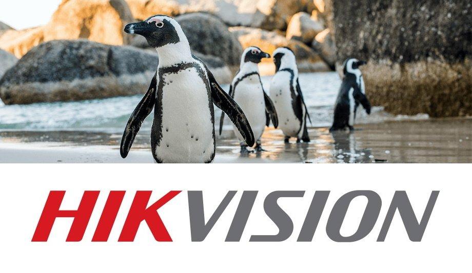Hikvision Deploys Cameras As Part Of Partnership With DICT To Protect African Penguins