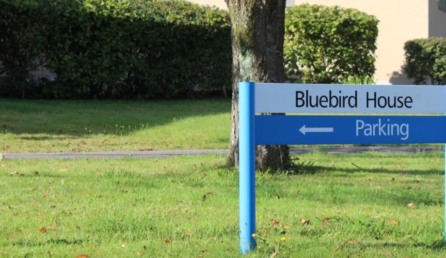 IDIS Installs Its Fisheye And PTZ Cameras To Enhance Security At Bluebird House