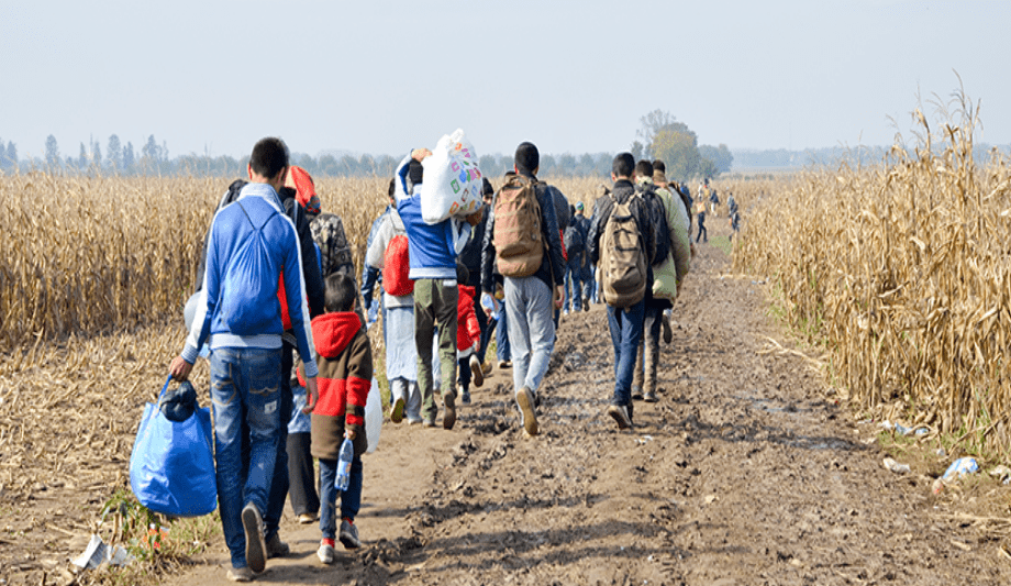 Healix Celebrates World Refugee Day: Supporting NGOs