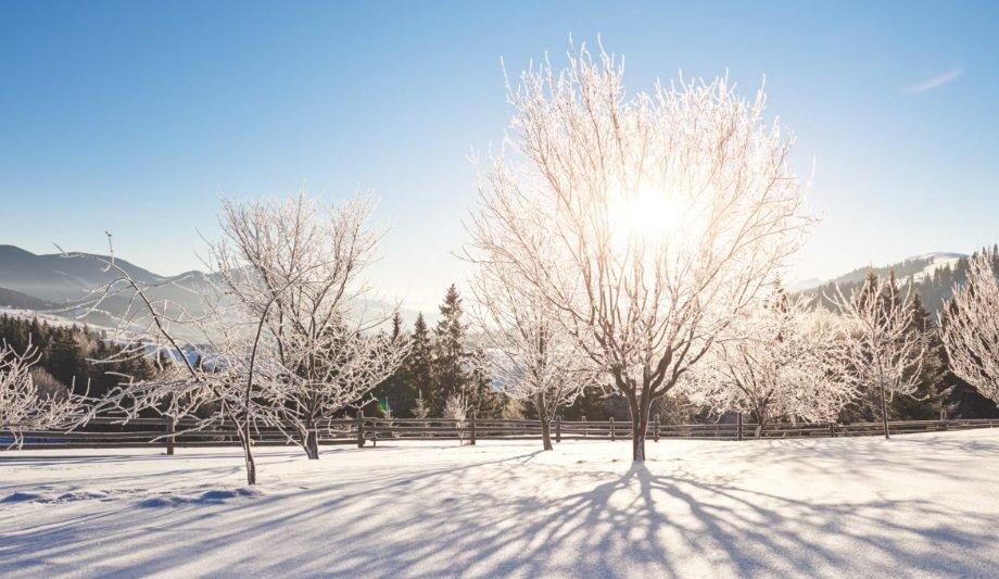 Cold Weather Tips For Outdoor Security Systems