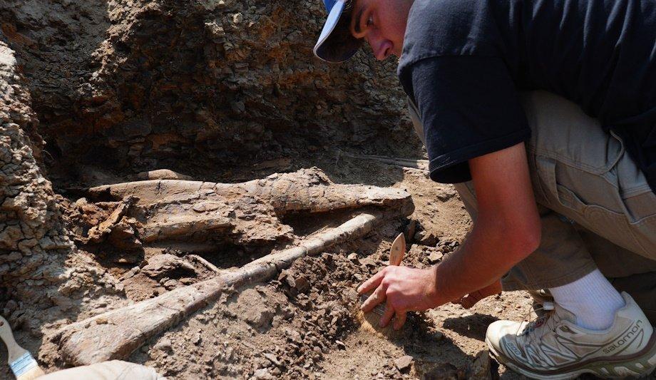 Improving Excavation Workflow: RFID Tags From HID Global