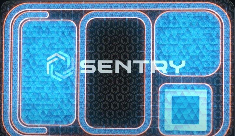 Sentry Enterprises, The Maker Of The Biometric Identity Platform SentryCard, Has Named Mikhail Friedland As Chief Technology Officer