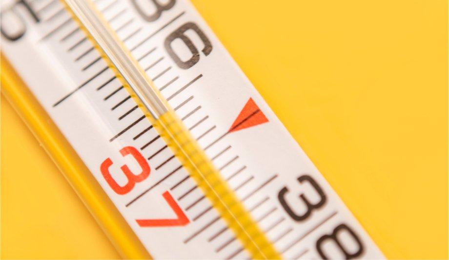 Getting Organizations Back to Work Safely with New Thermography Solutions