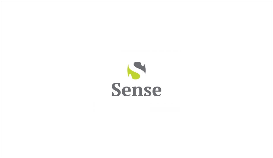 VDG Sense 2.4 Is Certified For ImmerVision Enables Allowing Panomorph Dewarping and Viewing