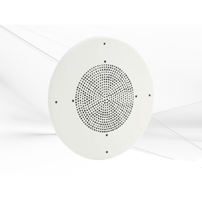 Bolide BC1092 Ceiling Speaker Hidden Color CCTV Camera