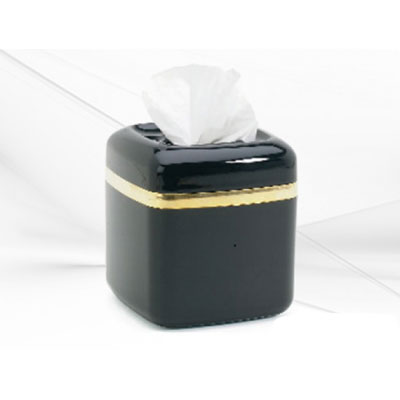 Bolide BL1208 Wireless Tissue Box Hidden Monochrome Camera
