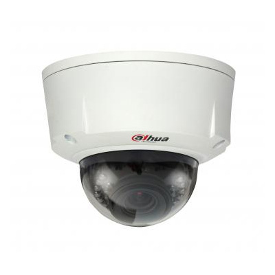 Dahua Technology DH-IPC-HDBW3100N 1.3 MP IR Dome Camera