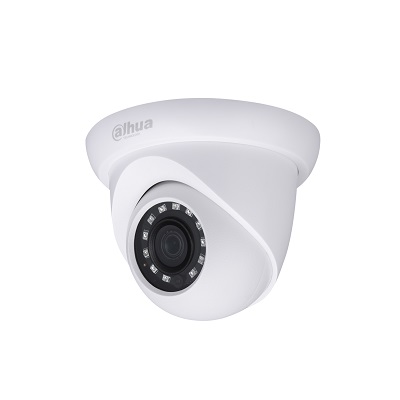 Dahua Technology HAC-HDW2231S 2MP Starlight HDCVI IR Eyeball Camera