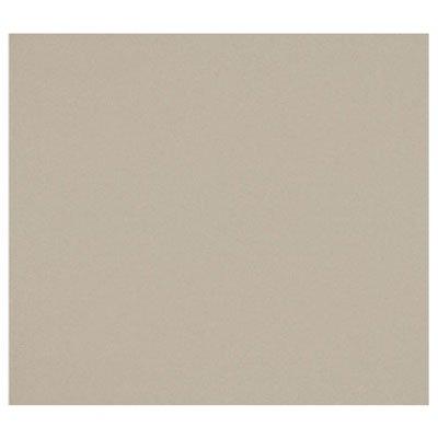 Aiphone GF-BP Blank Panel