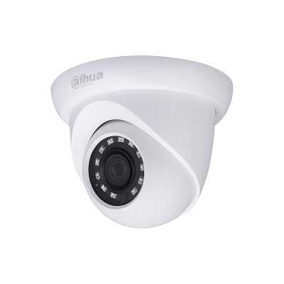 Dahua Technology HAC-HDW2221S 2MP WDR HDCVI IR Eyeball Camera